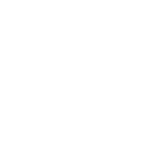 365 SEO